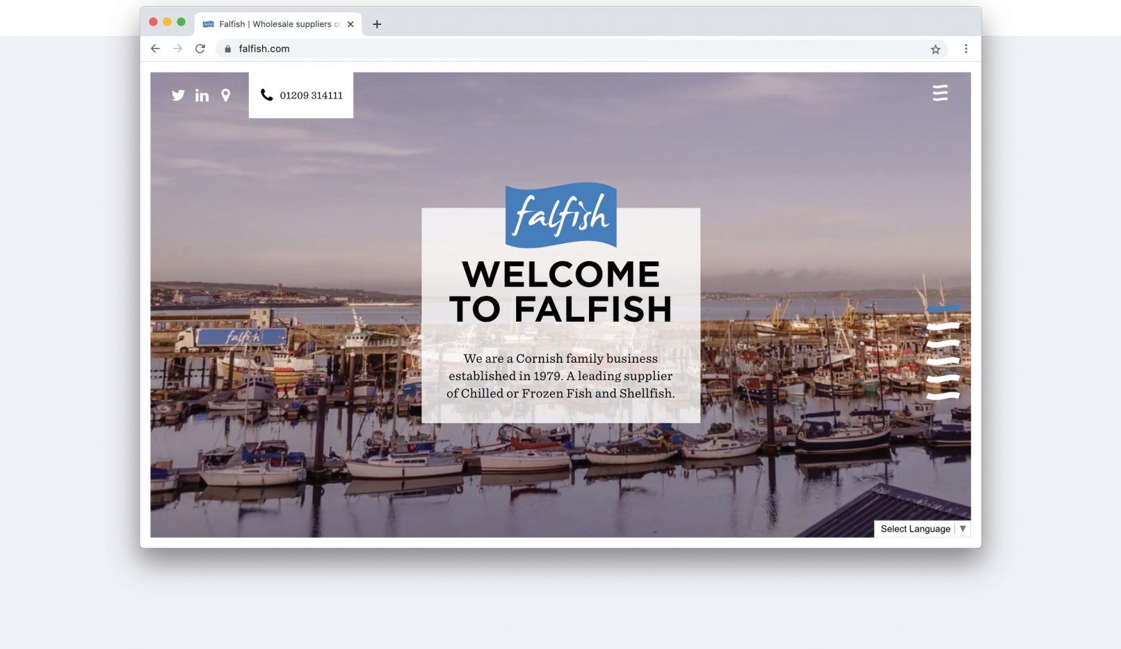 Feature image showing Fal Fish responsive website design by Jan Thompson Graphic Design