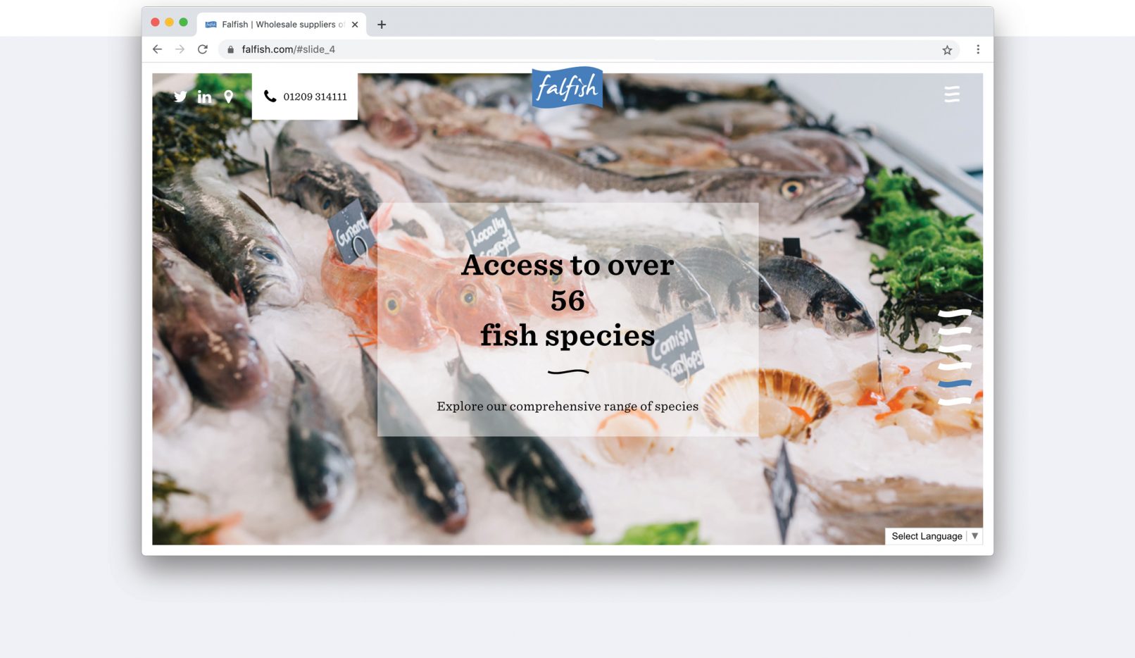 Feature image showing Fal Fish responsive website design by Jan Thompson Graphic Design